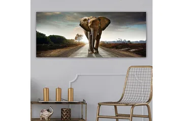 Canvastavla YTY Animals Flerfärgad - 120x50 cm - Inredning - Tavlor & konst - Canvastavlor