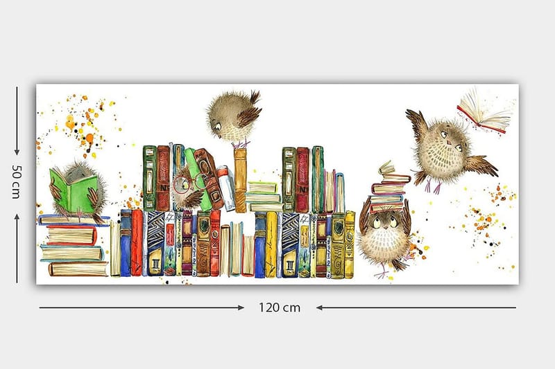 Canvastavla YTY Curiosities Flerfärgad - 120x50 cm - Inredning - Tavlor & konst - Canvastavlor