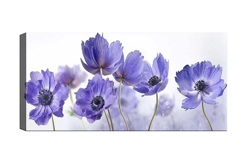 Canvastavla YTY Floral & Botanical Flerfärgad, 120x50 cm