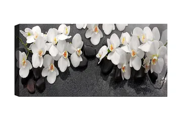 Canvastavla YTY Floral & Botanical Flerfärgad - 120x50 cm - Inredning - Tavlor & konst - Canvastavlor