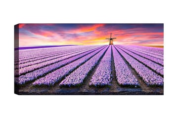 Canvastavla YTY Floral & Botanical Flerfärgad - 120x50 cm - Inredning - Tavlor & konst - Canvastavlor