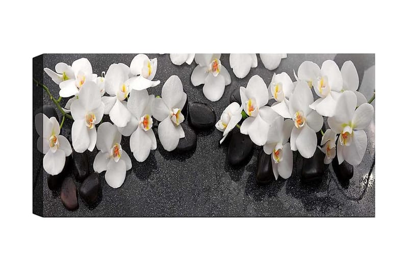 Canvastavla YTY Floral & Botanical Flerfärgad - 120x50 cm - Inredning - Tavlor & konst - Canvastavlor