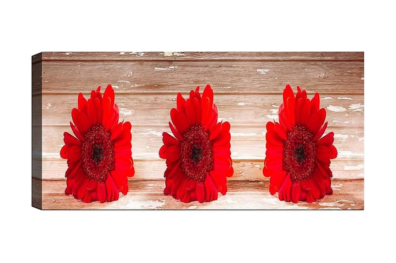 Canvastavla YTY Floral & Botanical Flerfärgad - 120x50 cm - Inredning - Tavlor & konst - Canvastavlor