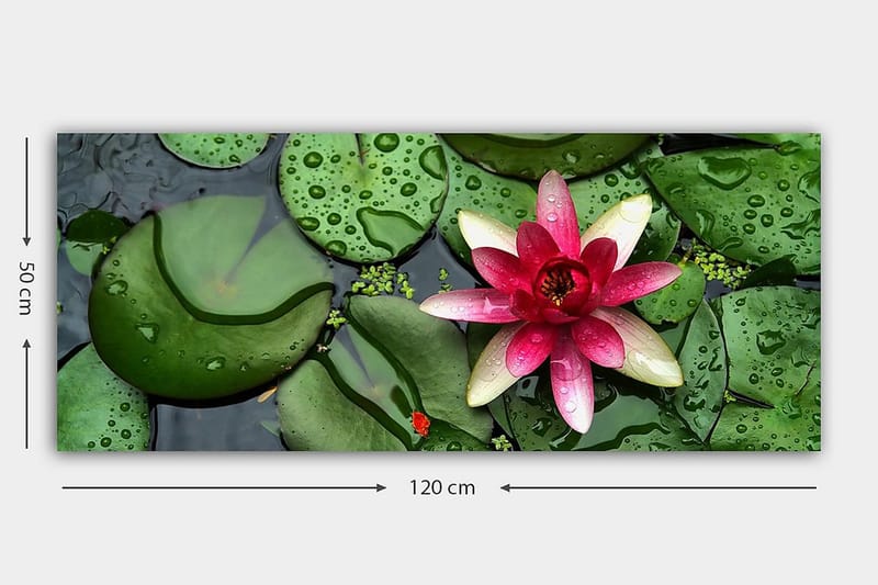 Canvastavla YTY Floral & Botanical Flerfärgad - 120x50 cm - Inredning - Tavlor & konst - Canvastavlor