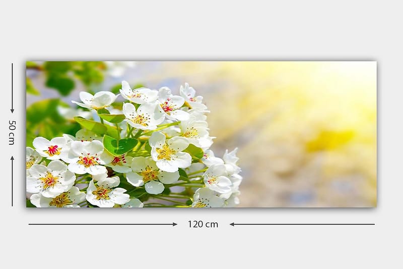 Canvastavla YTY Floral & Botanical Flerfärgad - 120x50 cm - Inredning - Tavlor & konst - Canvastavlor