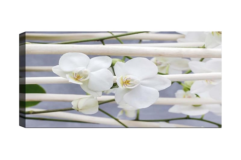 Canvastavla YTY Floral & Botanical Flerfärgad - 120x50 cm - Inredning - Tavlor & konst - Canvastavlor