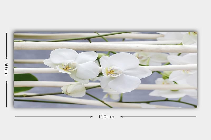 Canvastavla YTY Floral & Botanical Flerfärgad - 120x50 cm - Inredning - Tavlor & konst - Canvastavlor