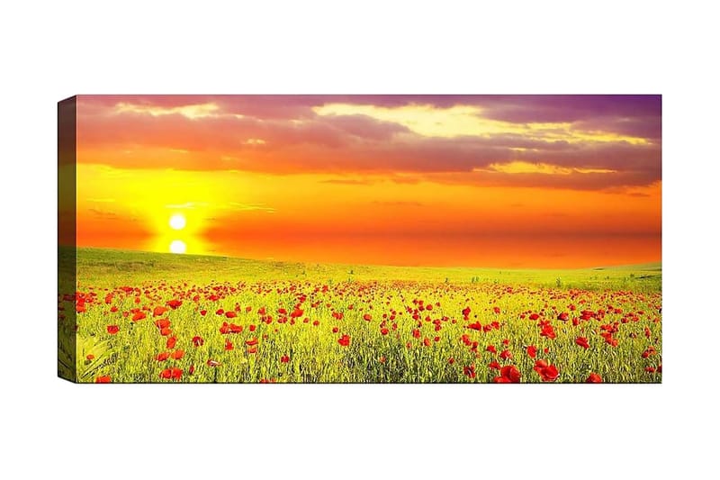 Canvastavla YTY Floral & Botanical Flerfärgad - 120x50 cm - Inredning - Tavlor & konst - Canvastavlor