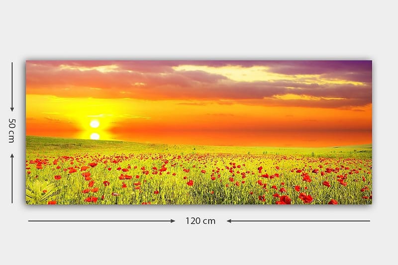 Canvastavla YTY Floral & Botanical Flerfärgad - 120x50 cm - Inredning - Tavlor & konst - Canvastavlor