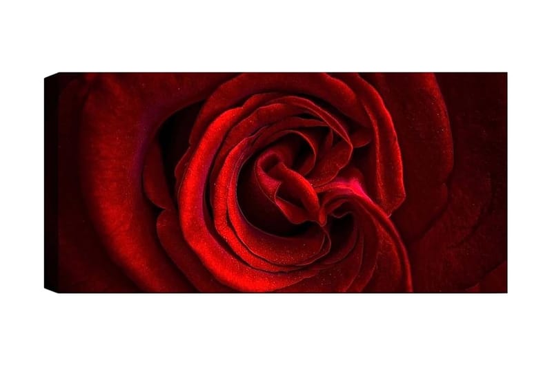 Canvastavla YTY Floral & Botanical Flerfärgad - 120x50 cm - Inredning - Tavlor & konst - Canvastavlor