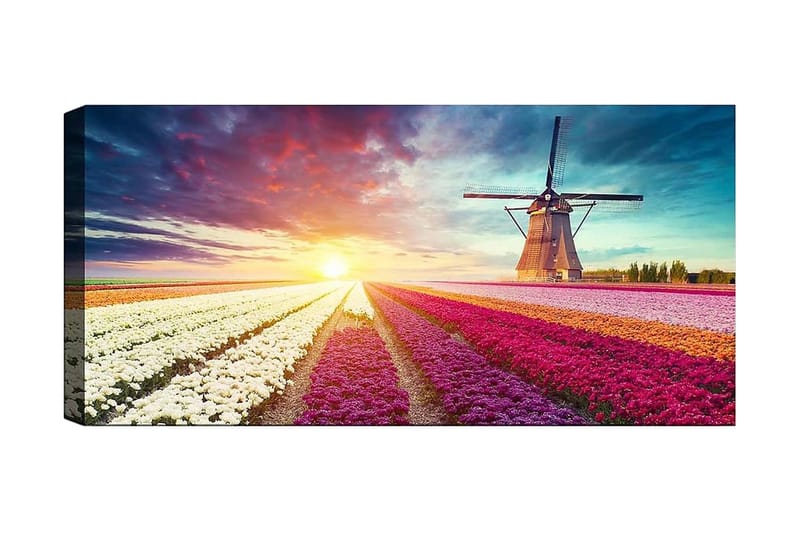 Canvastavla YTY Floral & Botanical Flerfärgad - 120x50 cm - Inredning - Tavlor & konst - Canvastavlor