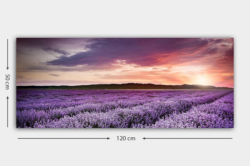 Canvastavla YTY Floral & Botanical Flerfärgad - 120x50 cm - Inredning - Tavlor & konst - Canvastavlor