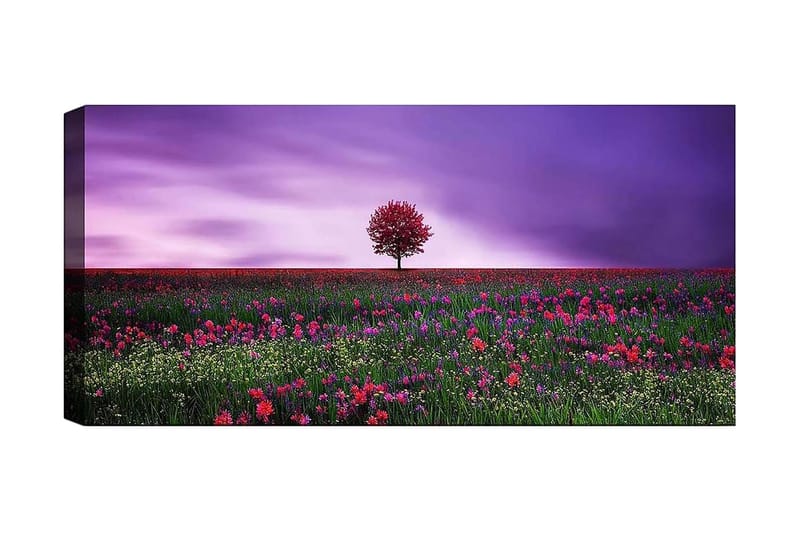 Canvastavla YTY Floral & Botanical Flerfärgad - 120x50 cm - Inredning - Tavlor & konst - Canvastavlor