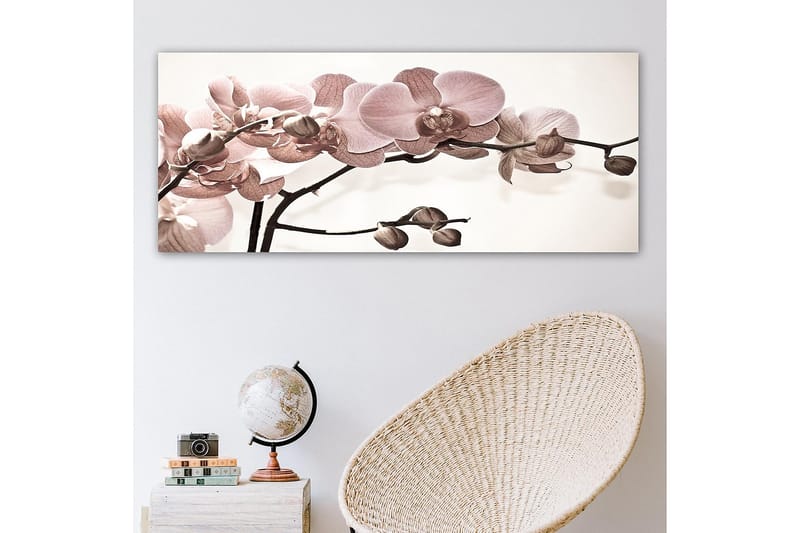 Canvastavla YTY Floral & Botanical Flerfärgad - 120x50 cm - Canvastavlor