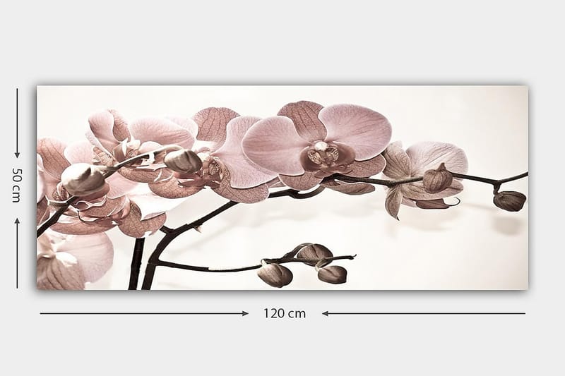 Canvastavla YTY Floral & Botanical Flerfärgad - 120x50 cm - Canvastavlor