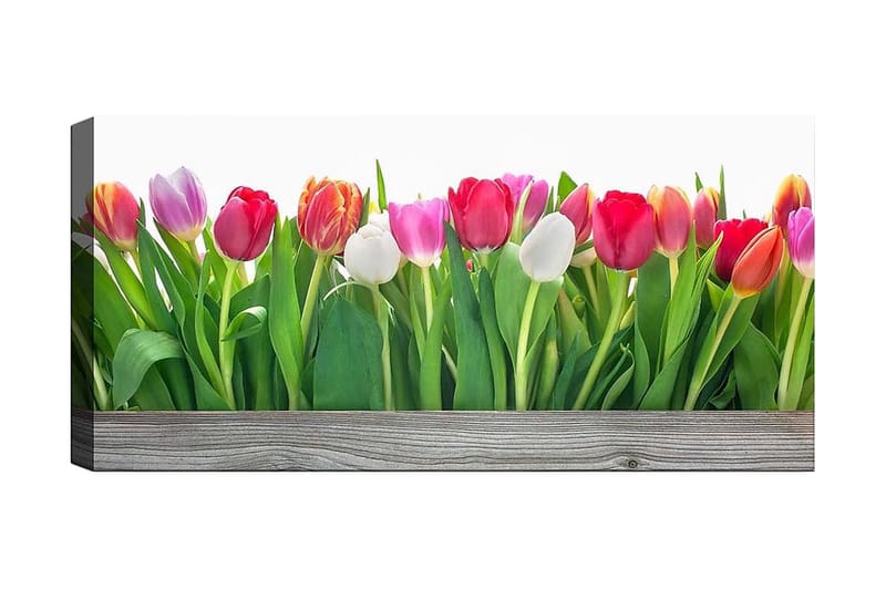 Canvastavla YTY Floral & Botanical Flerfärgad - 120x50 cm - Inredning - Tavlor & konst - Canvastavlor