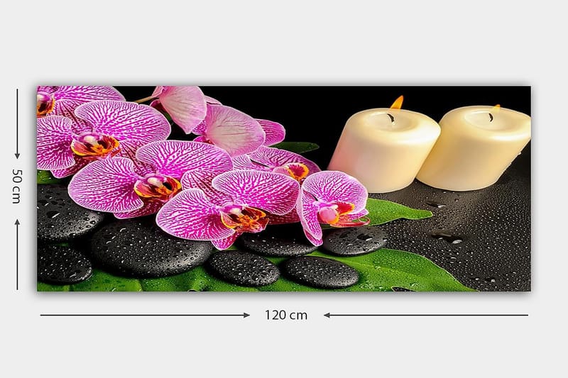 Canvastavla YTY Floral & Botanical Flerfärgad - 120x50 cm - Inredning - Tavlor & konst - Canvastavlor