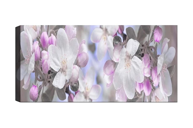 Canvastavla YTY Floral & Botanical Flerfärgad - 120x50 cm - Inredning - Tavlor & konst - Canvastavlor