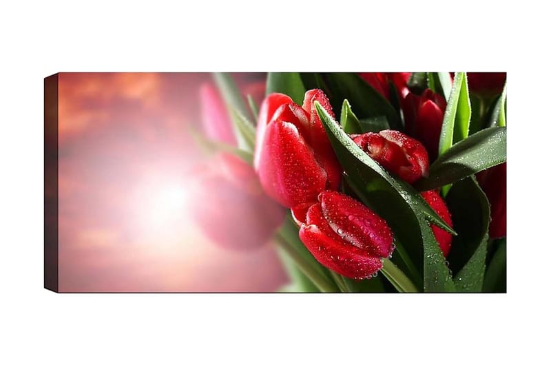 Canvastavla YTY Floral & Botanical Flerfärgad - 120x50 cm - Inredning - Tavlor & konst - Canvastavlor