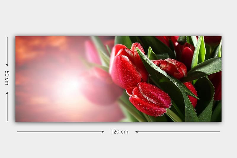 Canvastavla YTY Floral & Botanical Flerfärgad - 120x50 cm - Inredning - Tavlor & konst - Canvastavlor