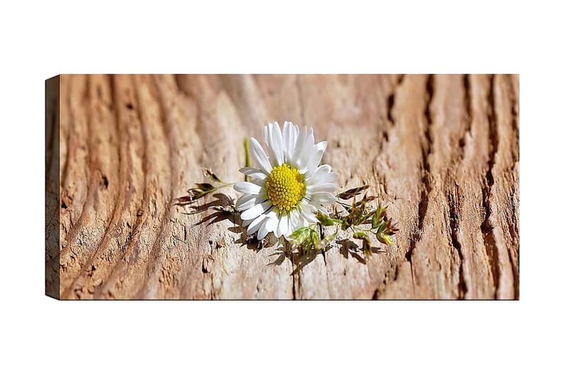 Canvastavla YTY Floral & Botanical Flerfärgad - 120x50 cm - Inredning - Tavlor & konst - Canvastavlor