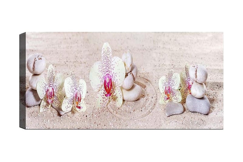 Canvastavla YTY Floral & Botanical Flerfärgad - 120x50 cm - Inredning - Tavlor & konst - Canvastavlor