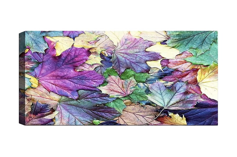 Canvastavla YTY Floral & Botanical Flerfärgad - 120x50 cm - Inredning - Tavlor & konst - Canvastavlor