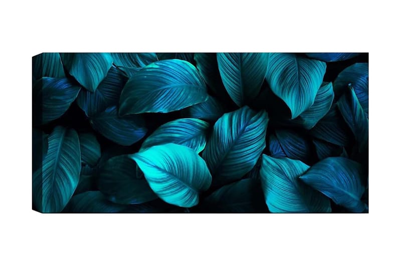 Canvastavla YTY Floral & Botanical Flerfärgad - 120x50 cm - Inredning - Tavlor & konst - Canvastavlor