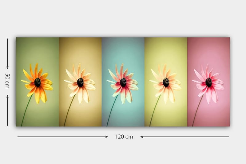 Canvastavla YTY Floral & Botanical Flerfärgad - 120x50 cm - Inredning - Tavlor & konst - Canvastavlor