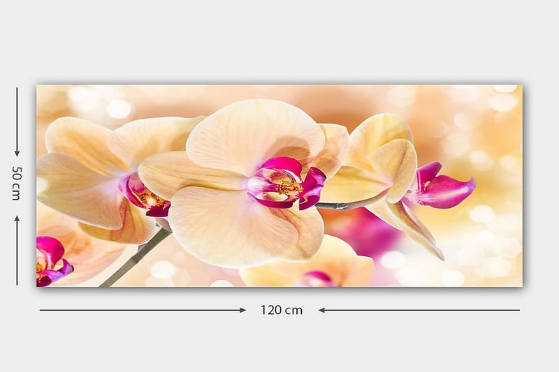 Canvastavla YTY Floral & Botanical Flerfärgad - 120x50 cm - Inredning - Tavlor & konst - Canvastavlor