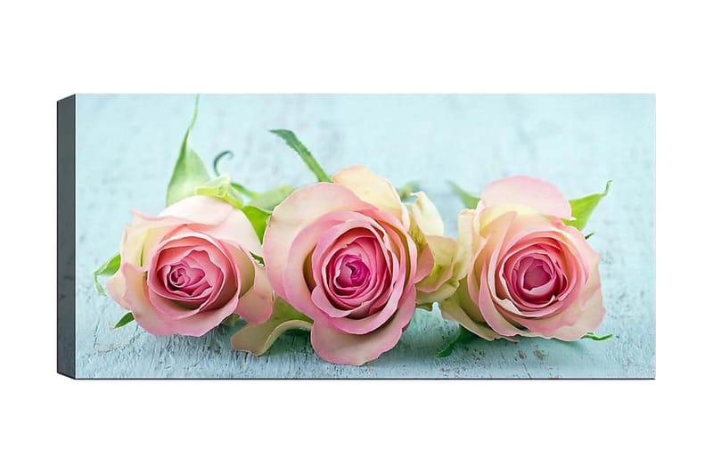 Canvastavla YTY Floral & Botanical Flerfärgad - 120x50 cm - Inredning - Tavlor & konst - Canvastavlor