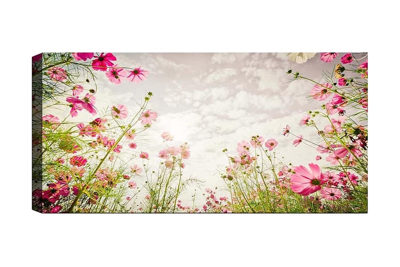 Canvastavla YTY Floral & Botanical Flerfärgad - 120x50 cm - Inredning - Tavlor & konst - Canvastavlor