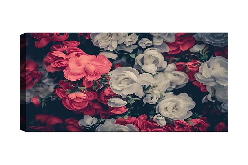 Canvastavla YTY Floral & Botanical Flerfärgad - 120x50 cm - Inredning - Tavlor & konst - Canvastavlor