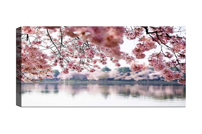 Canvastavla YTY Floral & Botanical Flerfärgad - 120x50 cm - Inredning - Tavlor & konst - Canvastavlor