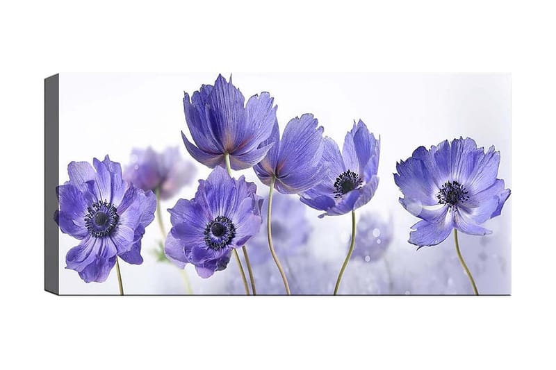 Canvastavla YTY Floral & Botanical Flerfärgad - 120x50 cm - Inredning - Tavlor & konst - Canvastavlor
