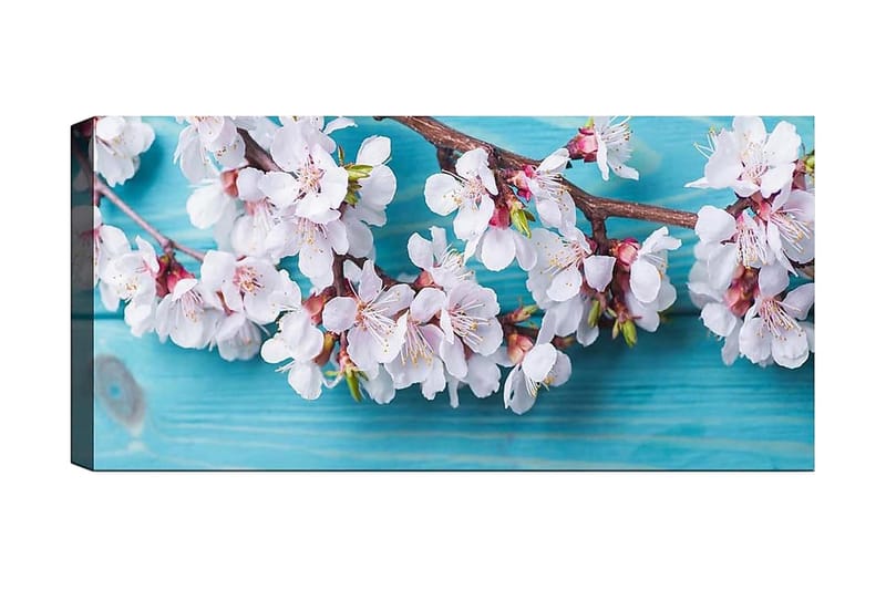 Canvastavla YTY Floral & Botanical Flerfärgad - 120x50 cm - Inredning - Tavlor & konst - Canvastavlor