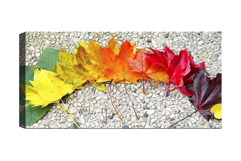 Canvastavla YTY Floral & Botanical Flerfärgad - 120x50 cm - Inredning - Tavlor & konst - Canvastavlor