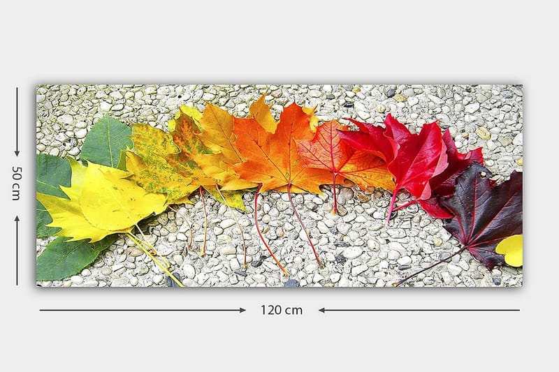 Canvastavla YTY Floral & Botanical Flerfärgad - 120x50 cm - Inredning - Tavlor & konst - Canvastavlor