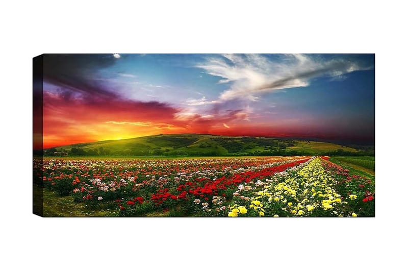 Canvastavla YTY Floral & Botanical Flerfärgad - 120x50 cm - Inredning - Tavlor & konst - Canvastavlor