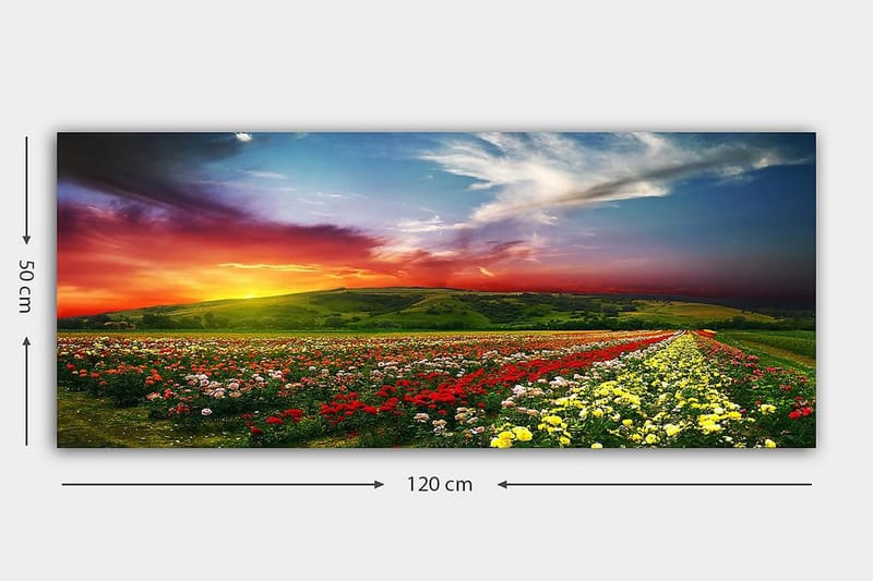 Canvastavla YTY Floral & Botanical Flerfärgad - 120x50 cm - Inredning - Tavlor & konst - Canvastavlor