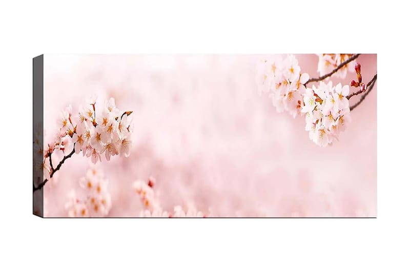 Canvastavla YTY Floral & Botanical Flerfärgad - 120x50 cm - Inredning - Tavlor & konst - Canvastavlor
