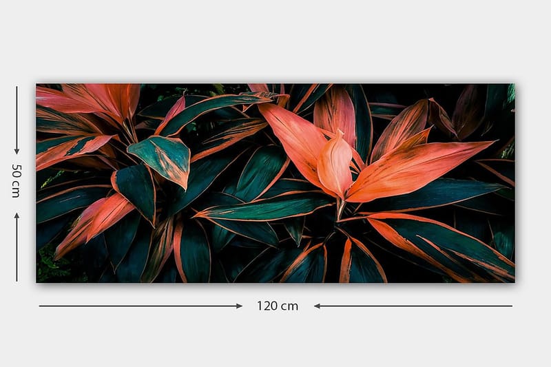 Canvastavla YTY Floral & Botanical Flerfärgad - 120x50 cm - Inredning - Tavlor & konst - Canvastavlor