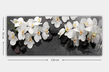 Canvastavla YTY Floral & Botanical Flerfärgad - 120x50 cm - Inredning - Tavlor & konst - Canvastavlor