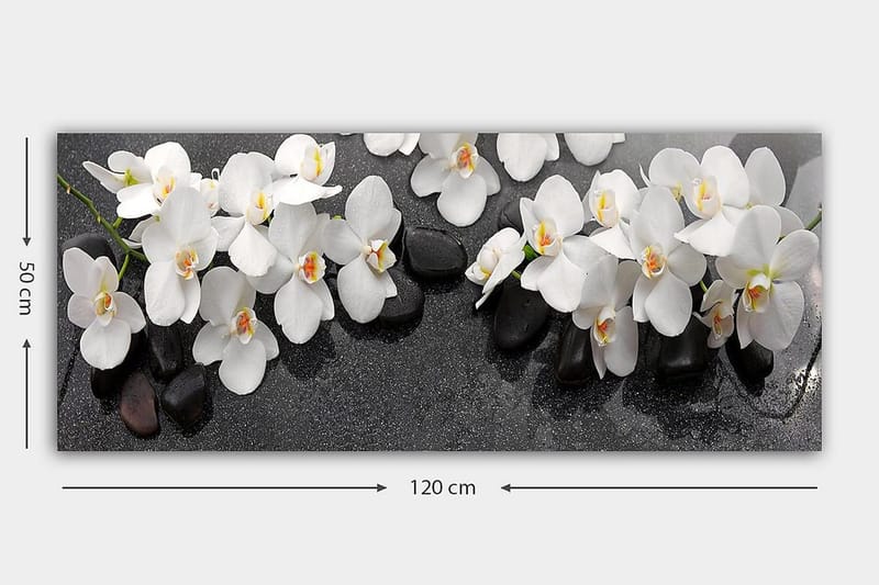 Canvastavla YTY Floral & Botanical Flerfärgad - 120x50 cm - Inredning - Tavlor & konst - Canvastavlor