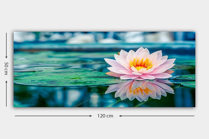 Canvastavla YTY Floral & Botanical Flerfärgad - 120x50 cm - Inredning - Tavlor & konst - Canvastavlor