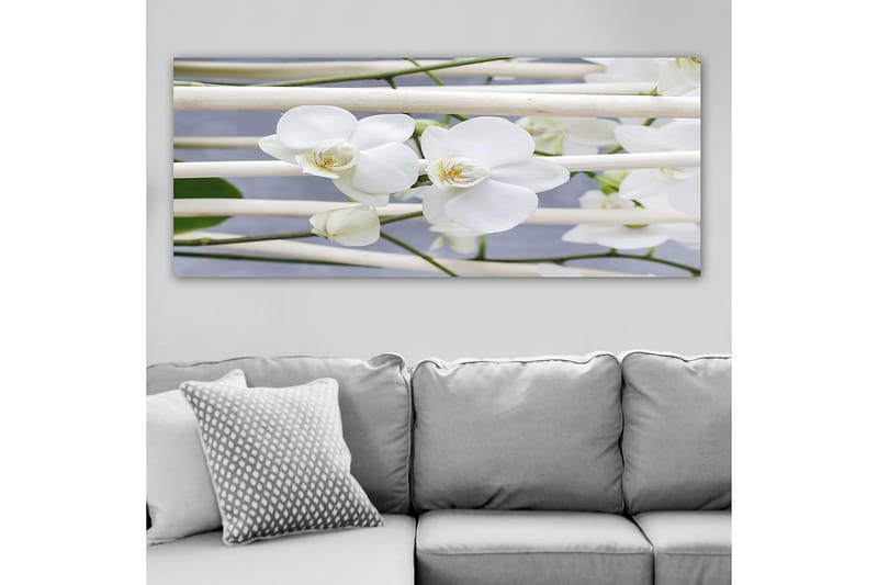 Canvastavla YTY Floral & Botanical Flerfärgad - 120x50 cm - Inredning - Tavlor & konst - Canvastavlor
