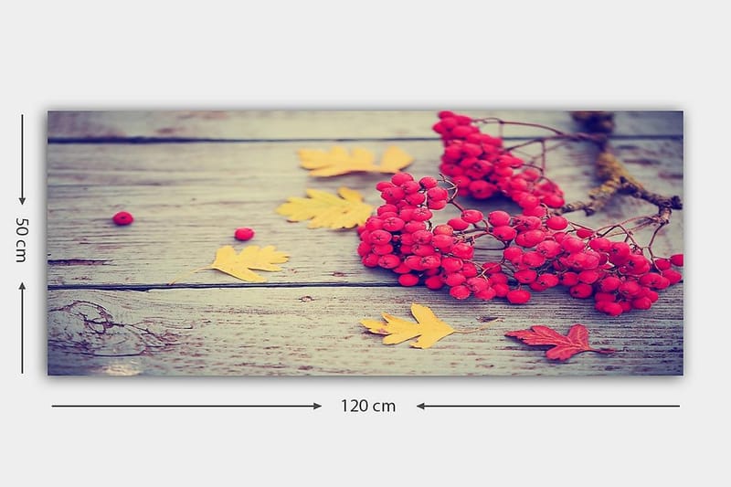 Canvastavla YTY Floral & Botanical Flerfärgad - 120x50 cm - Inredning - Tavlor & konst - Canvastavlor