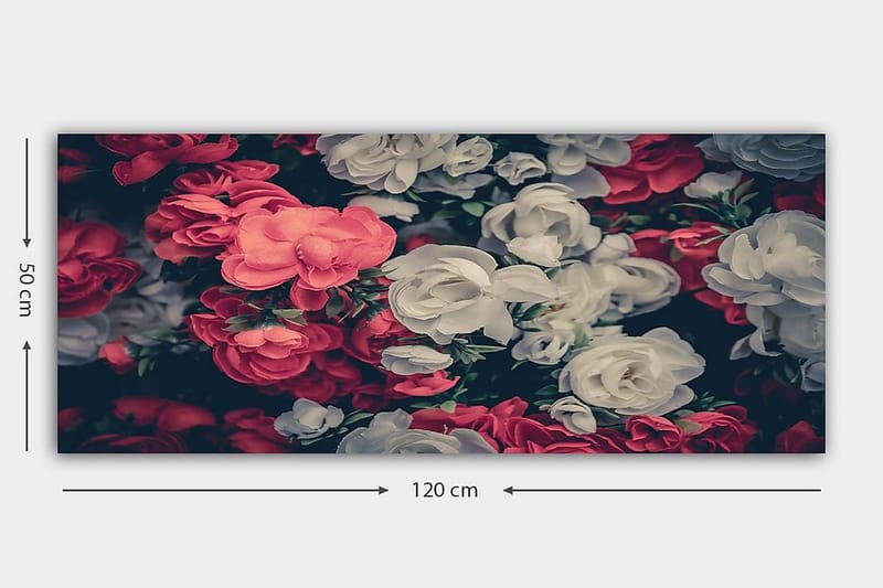 Canvastavla YTY Floral & Botanical Flerfärgad - 120x50 cm - Inredning - Tavlor & konst - Canvastavlor