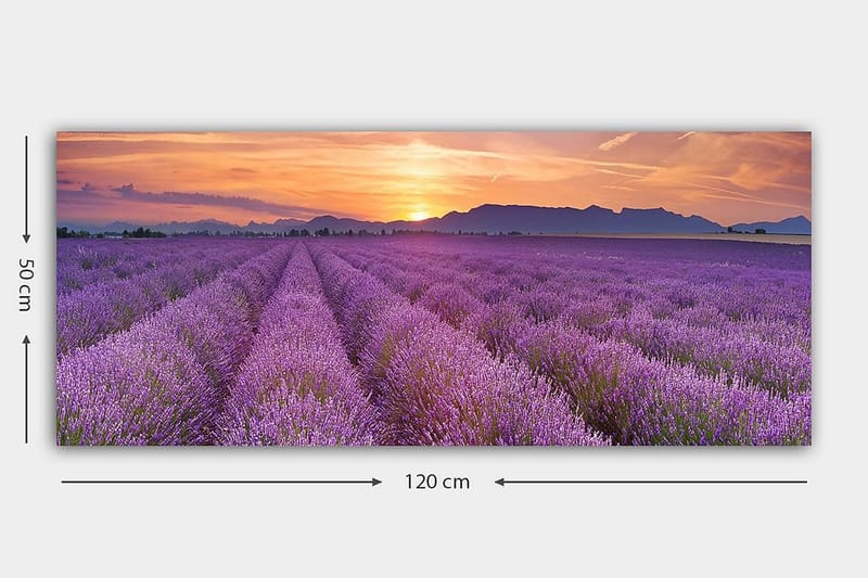 Canvastavla YTY Floral & Botanical Flerfärgad - 120x50 cm - Inredning - Tavlor & konst - Canvastavlor