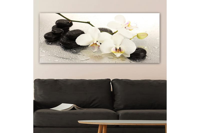 Canvastavla YTY Floral & Botanical Flerfärgad - 120x50 cm - Inredning - Tavlor & konst - Canvastavlor